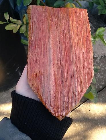 Kuhinjska oprema: Ručno rezbareni drveni grb FK Crvena zvezda - Materijal: puno drvo — 2