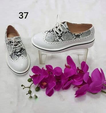 clara barson cipele: Cipele 1600 din — 1