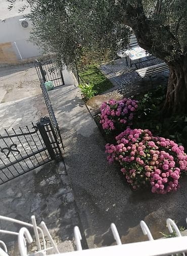 apartment for rent: Sutomore, iznajmljujem apartman i sobe. Sobe sa dva, tri i četiri — 2