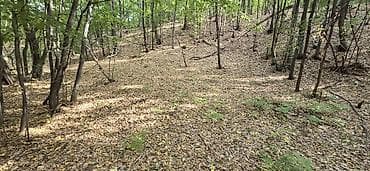 Borsko jezero,12400m2 pored puta i vode,parcela 1842/2 sredisnji