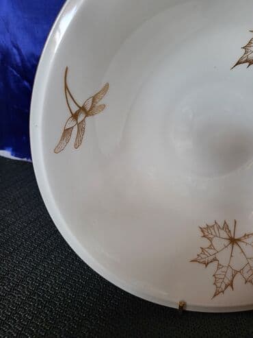 delimano posuđe akcija: Cinija Freiberger porcelan Nemacka iz 1950g+. Cinija je perfektna sve — 6