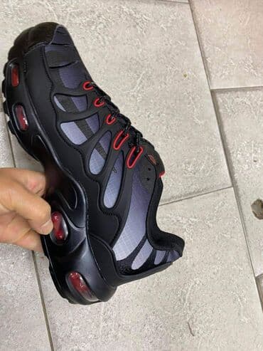 tods cipele beograd: Patike — 3