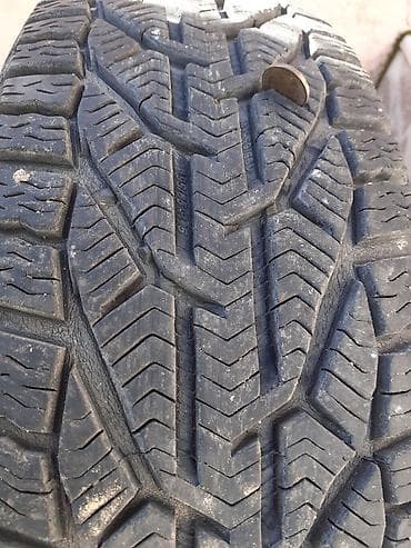 sidro za camac: Tigar Winter – zimska guma, pojedinačno - Marka/model: Tigar Winter - — 2