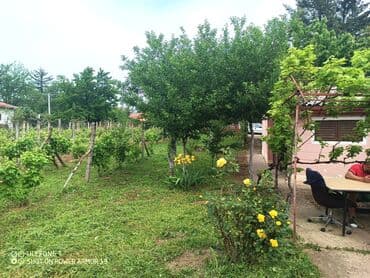 dobos kuce golubinci: 18 sq. m, 2 bedroom — 29