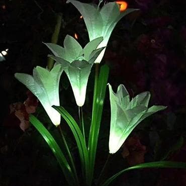 saw palmetto cena: Solarni svetleci LJILJAN sa cetiri cveta（2 Kom）
Cena: 2200 din — 4