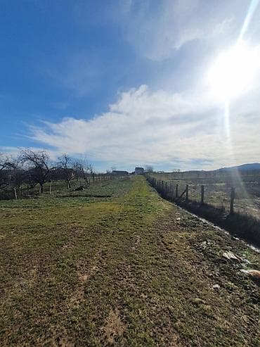 kuca loznica prodaja: Topola-Gornja Šatornja, njiva 353 ara Topola-Gornja Šatornja, njiva — 5