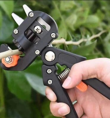 vrata za pecenjare: Specijalne makaze za kalemljenje Kalemljenje na tri načina Cean — 2