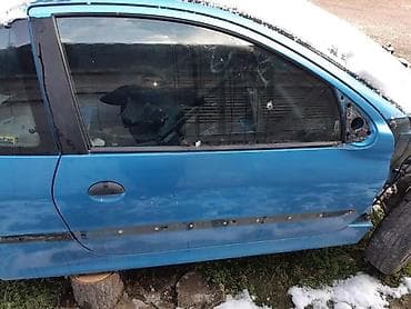 seranovi 109: VRATA ZA PEUGEOT 206 | Vrata za peugeot 206 u vise boja.Imam svee — 3