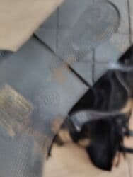 Other women's footwear: Sandals, 38 — 3