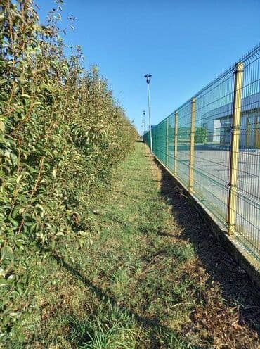 Placevi: Poljoprivredno zemljište — 16