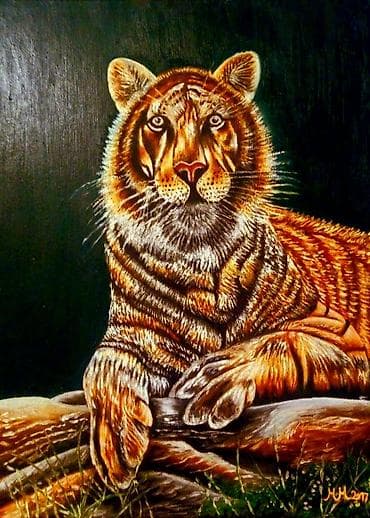 asure za sto: Slika, 50 x 60 cm, Novo — 7