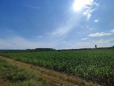 pronađi mi poslovni prostor za izdavanje na teritoriji beograda od 850m2 do 1200m2: Zemljište na Savi pored Šapca, površine 2.7 ha. Trenutno je obradivo — 7