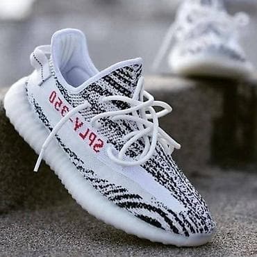 Patike: Yezzy
36-46
3999din
PS✨ — 3