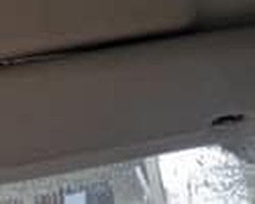gume za viljuskar: SUNCOBRAN ZA VOLVO S40, V40 OD 1996. DO 2005. GOD. | suncobran za — 4