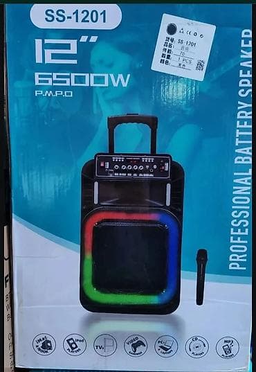 art audio h125: Bluethot karaoke zvucnik sa bezicnim mikrofonom Cena 11.000 din — 1