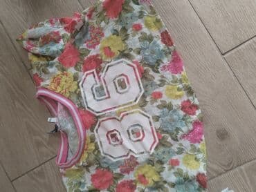 pisi brisi majice za decake: Short sleeve, 140-146 — 1