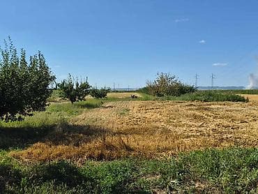 placevi na prodaju prokuplje: Na prodaju salaš – Rumski drum 69a, Sremska Mitrovica Na prodaju — 7