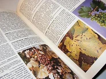 paklene ulice 5: Энциклопедия виноградарстваИздательство: Молдавская советская — 2