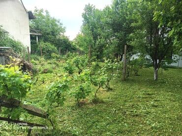 dobos kuce golubinci: 18 sq. m, 2 bedroom — 28