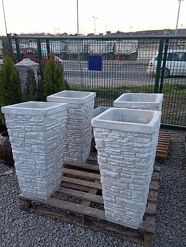 regal talin forma ideale: Zardinjere — 1