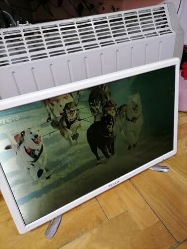 vivax air cooler 3 in 1: TV TESLA 24 inča ili 60 dijagonala ekrana ispravan dobar. Sa — 13