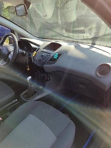 silja: SITI SERVO ZA FORD FIESTA OD 2009. DO 2017. GOD. | SMEDEREVSKA — 1