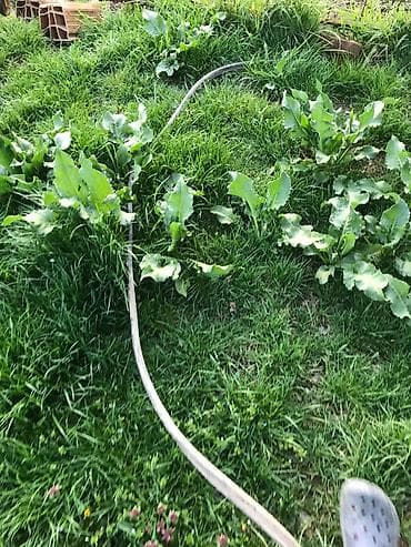 kabl za samsung punjac: Dalekovodni visokonaponski petozilni kabl sa sajlom debeo tezak tacno — 7