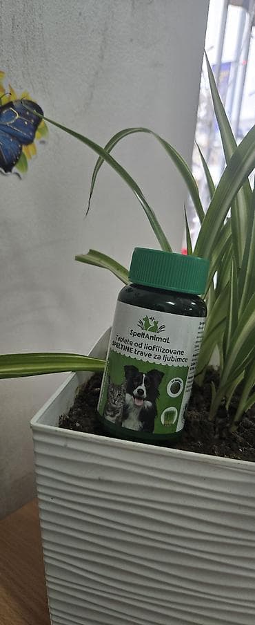 kavezi za papagaje: Pet shop Maza & Nera – sve za pse i mačke na jednom mestu - Širok — 5