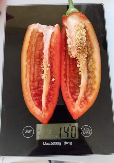 Semena i sadnice: Makedonka – Stara Autohtona Paprika Ajvaruša Cena:400din/10 semenke — 3