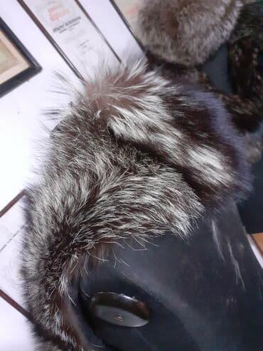 Headgear: Sak kragna — 5
