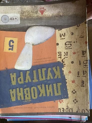 stitnici i kaciga za decu: Komplet školskih udžbenika – više predmeta i razreda - Srpski jezik — 8