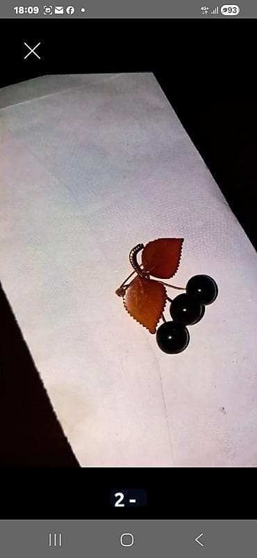 pantalone sa perjem: Broš u obliku trešnje - Dekorativni broš sa motivom grančice trešnje — 2