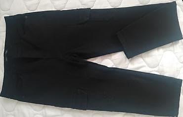 S (EU 36), Kargo na lalafo.rs S (EU 36), Kargo