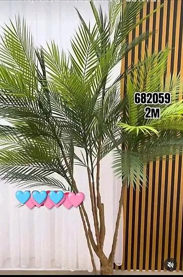 meda od vestackih ruza: Tim:Veštačka dekorativna palma – visine 2 m i 1,80 m - Modeli/šifre — 1