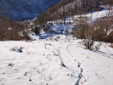 kuce na selu: 130 ares, Owner — 7
