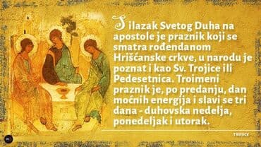 sprej za orhideje: Icon — 1