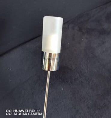 Sobne biljke: Luster — 4