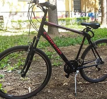 Capriolo hibridni/trekking bicikl - Veličina točkova: 28" - Ram