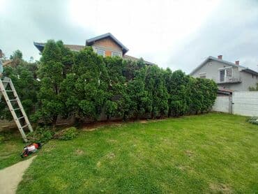 zvjezdano nebo u autu: Horticool nudi širok spektar usluga za uređenje i održavanje dvorišta — 5