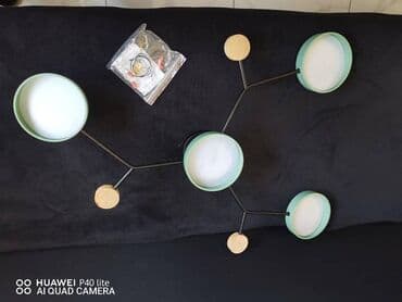 Sobne biljke: Luster, Upotrebljenо — 5