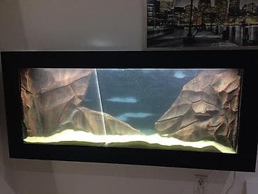 male kornjace za akvarijum cena: Izrada akvarijuma po narudzbini,akvarijume radimo svih dimenzija I — 2