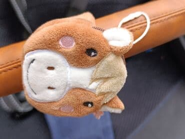 astronaut igracka: Prodajem decija kolica Babies Smiloo, bez ostecenja, kupljena u — 9