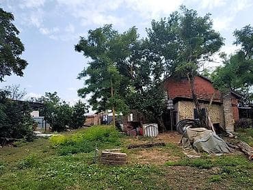 hitna prodaja kuca kraljevo: Prodajem salaš sa velikim voćnjakom u Novom Kneževcu, blizu Mađarske — 2