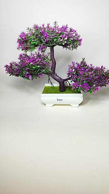 Kućni dekor: Dekorativno bonsai drvo u saksiji - Realistična bonsai kompozicija sa — 5