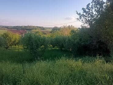 6000 eura jeftine kuće prodajem kuću za 3.000 evra: Plac-Voćnjak sa starijim stablima na blagoj padini - Ograđen zeleni — 4