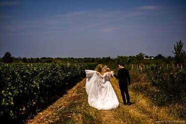 Entertainment: Entertainment | Animators, Event decoration, Decorative letters — 4