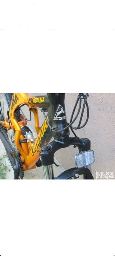 prodaja polovnih bicikala нови сад: Capriolo Iguana 260GS bicikl u narandžasto-crnoj boji. Ovaj model — 6