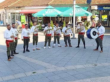 harry potter vt401 k: TRUBACI VALJEVO - O našim se nastupima uveliko se priča i govori jer — 3