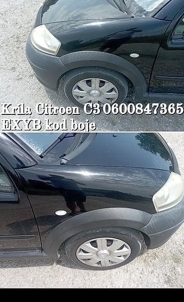 Blatobrani: Krila (prednja blatobrana) za Citroën C3 - Model: Citroën C3 - Deo — 1