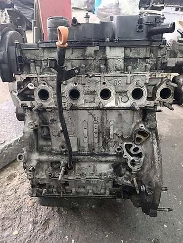 nalepnice za retrovizore: Volkswagen — 3